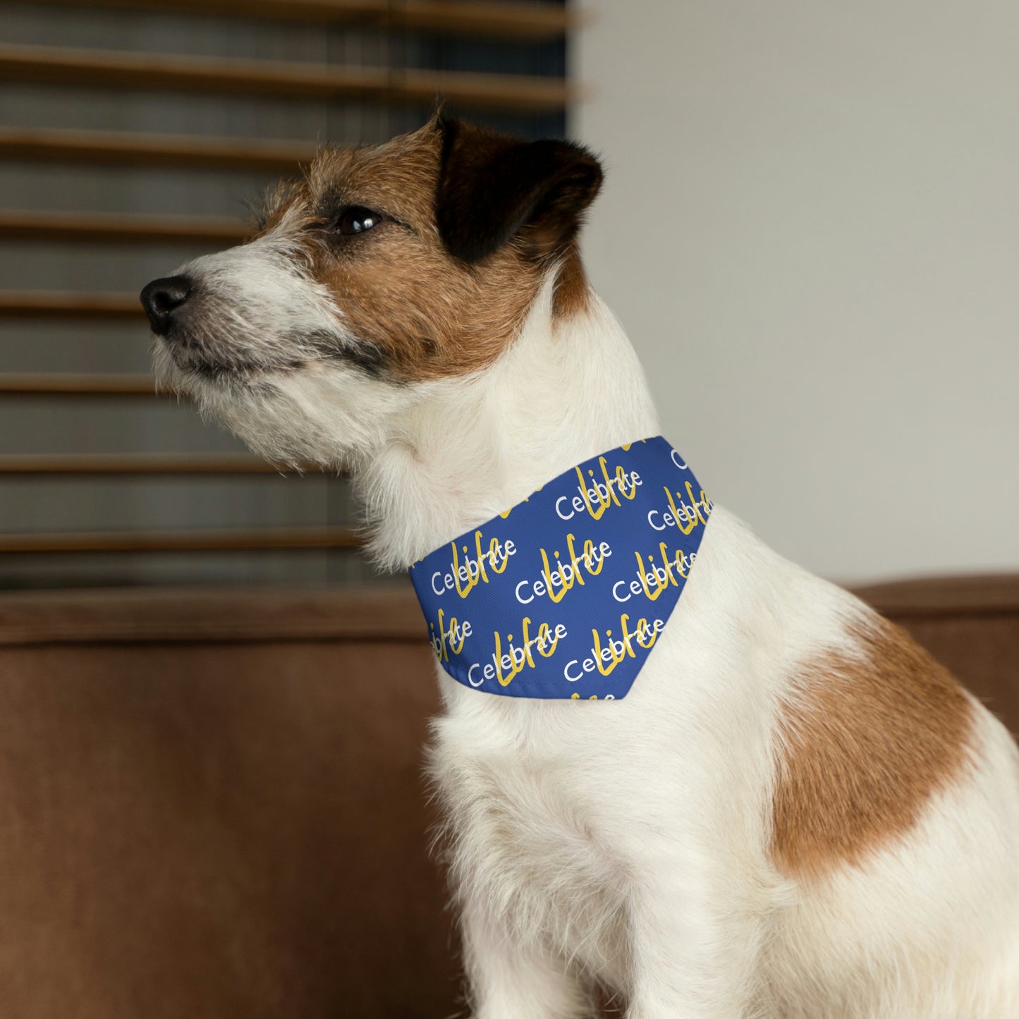 Celebrate Life Pet Bandana Collar