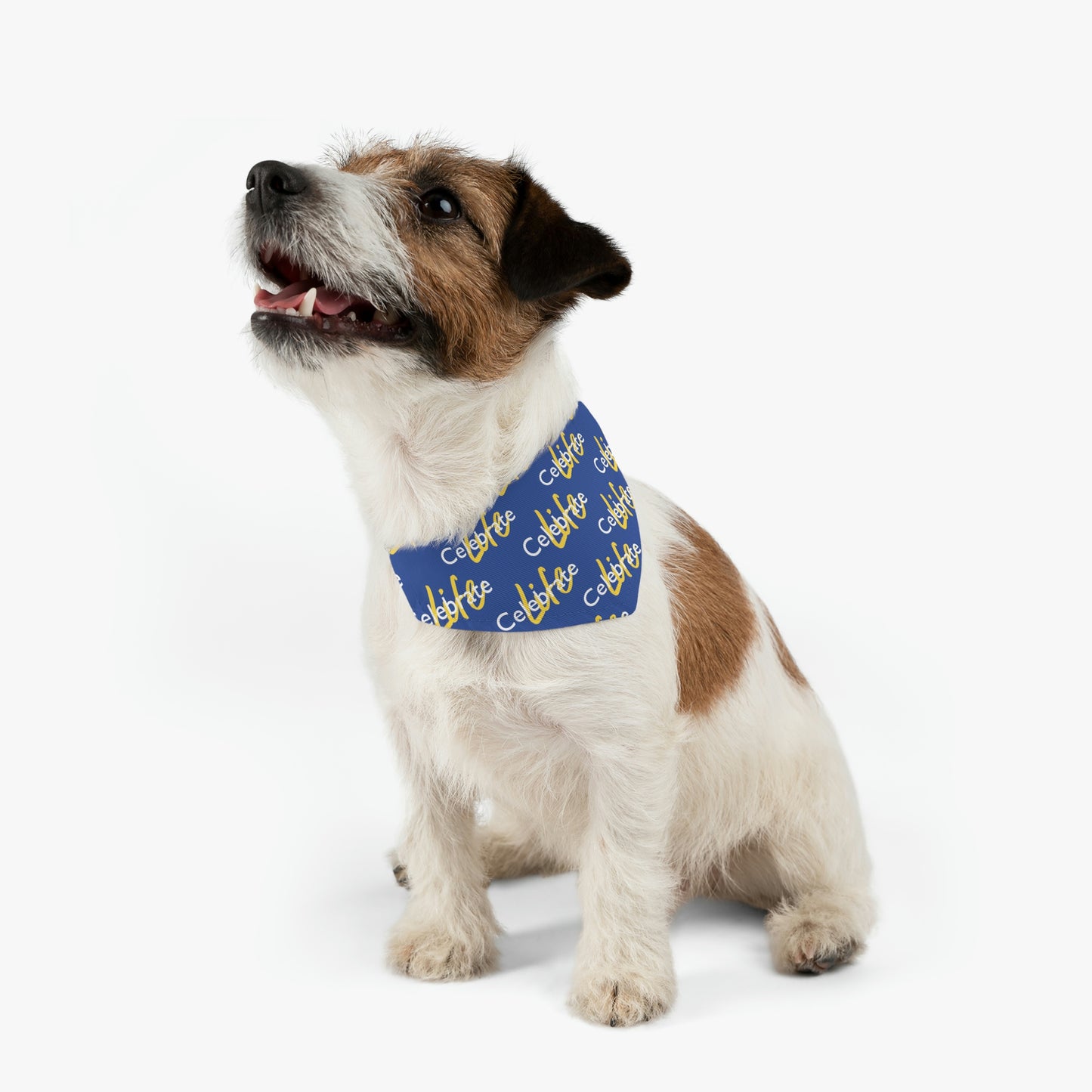 Celebrate Life Pet Bandana Collar