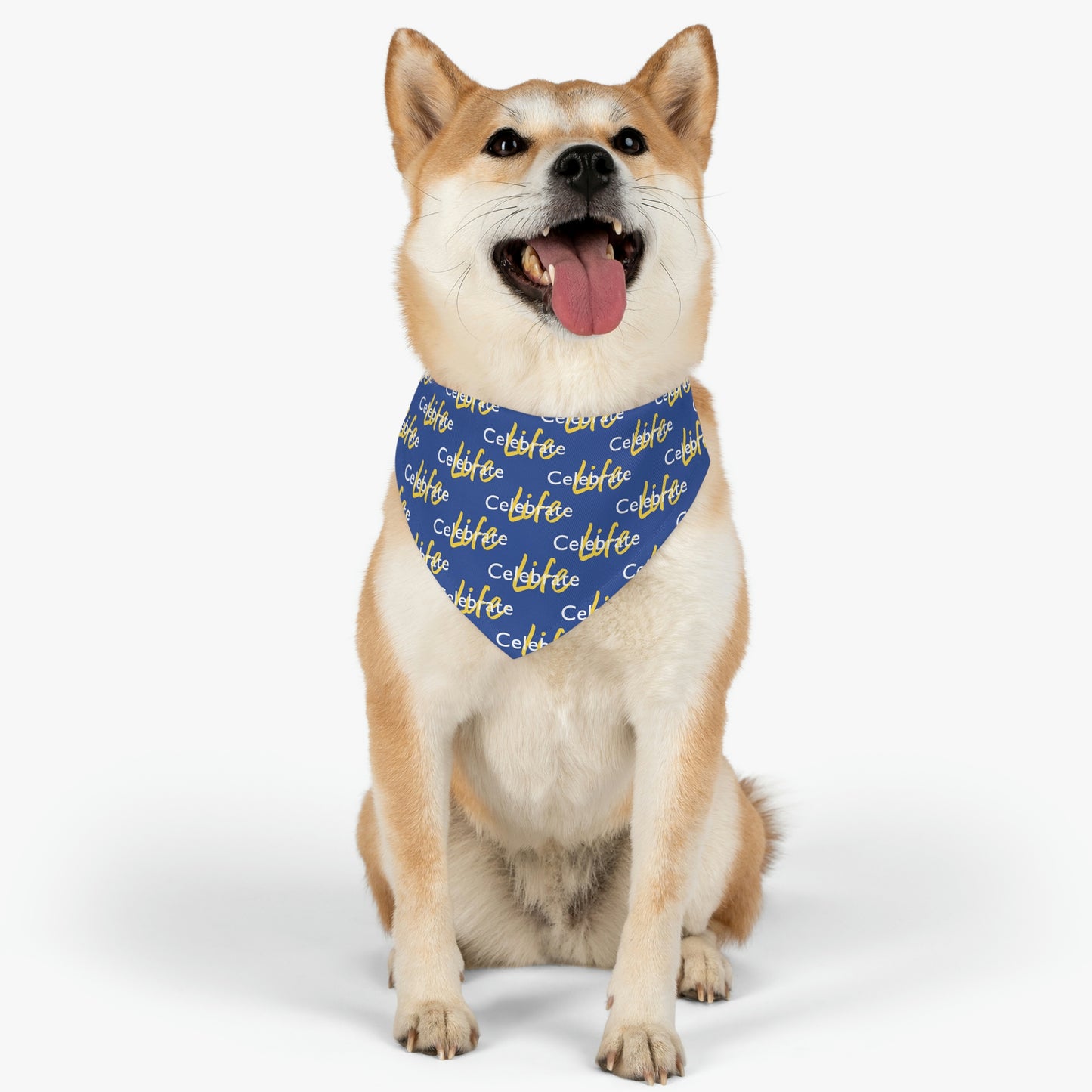 Celebrate Life Pet Bandana Collar